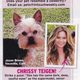 Illustration for article titled This Week In Tabloids: Cameron? Divorcing! Beyoncé? Divorcing! Gwen and Blake? Who Knows!